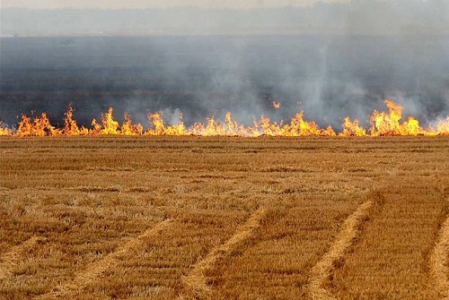 秸稈焚燒的后果 秸稈焚燒的后果