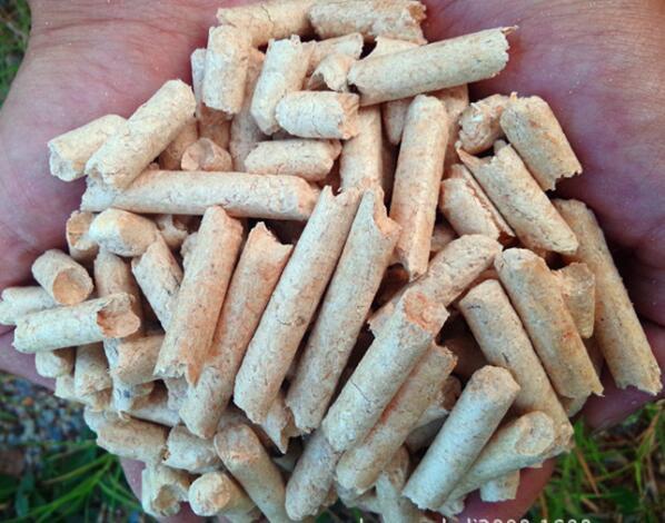 木屑顆粒機(jī)價(jià)格,木屑顆粒燃料 木屑顆粒機(jī)價(jià)格,木屑顆粒燃料