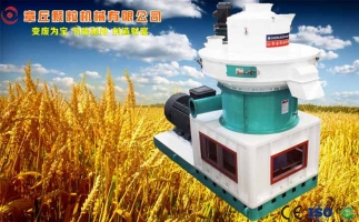 中國創(chuàng)新提速，綠色經(jīng)濟之離心高效環(huán)模顆粒機