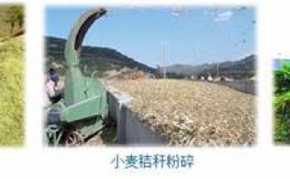 農(nóng)民科學(xué)發(fā)展新思路，秸稈綜合利用成為賺錢好門路之秸稈顆粒機(jī)