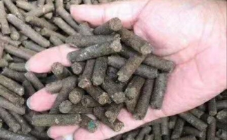 水果渣越來越受歡迎，因為它的出現—生物質顆粒機設備