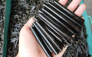 鋸末顆粒機(jī)多少錢一臺(tái)？