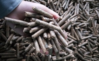 鋸末顆粒機(jī)顆粒，一種快速增長(zhǎng)的能源載體