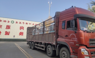 忙碌的五月，忙碌的發(fā)貨，金格瑞顆粒機生產(chǎn)線發(fā)往全國各地