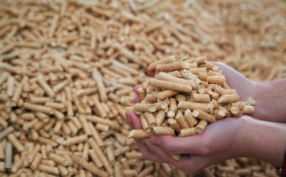 鋸末顆粒機(jī)生物質(zhì)顆粒，你需要知道的常識(shí)問(wèn)題