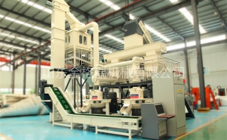 辦木屑顆粒燃料廠需要準(zhǔn)備哪些工作？山東顆粒機(jī)廠家和您說說