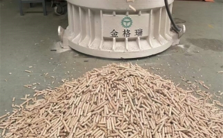 木屑顆粒機(jī)加工環(huán)保燃料顆粒，用綠色昭示未來
