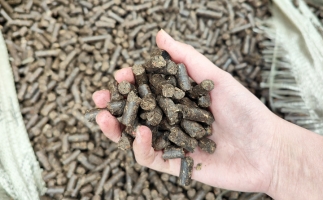 木屑顆粒機(jī)將秸稈變廢為寶，降碳節(jié)能一舉兩得