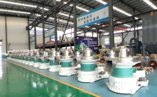 新手開顆粒廠，該選小型還是大型木屑顆粒機(jī)？